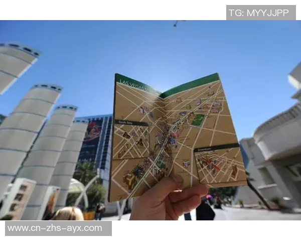 多伦多与华盛顿的城市魅力对比探讨与文化交流之旅